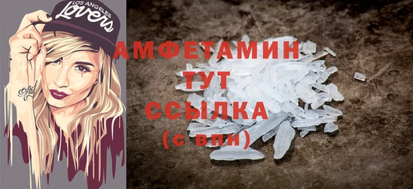 крисы Няндома