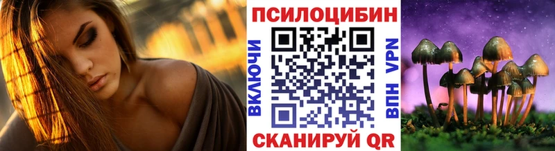 Псилоцибиновые грибы Psilocybine cubensis  Мостовской 